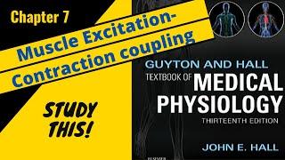 Guyton and Hall Medical Physiology (Chapter 7) Muscle excitation-contraction coupling || Study This!