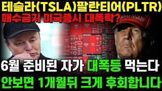 [텐베거 긴급속보]미국증시 이번주전략(테슬라,팔란티어)목표가 '이가격'까지 절대 팔지마라!🟢6월 되자마자 대폭등 잭팟 예고!오늘 저녁 '이렇게' 됩니다(엔비디아 SOXL 애플)