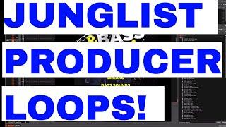 JUNGLIST DRUM AND BASS  PRODUCER LOOPS II ( Download )