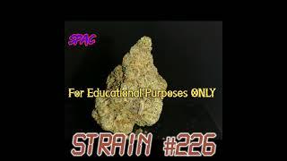 Space Fuel (SH) Strain Review Budpedia