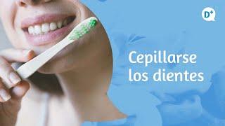 ¿Cómo cepillarse los dientes correctamente? | Dr. Fernando Loscos - Especialista en Estomatología