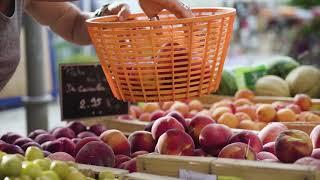 Faire les marchés provençaux