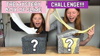 THE MYSTERY BOX OF SLIME CHALLENGE!!!!!
