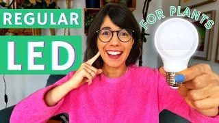 Regular LED lights for plants : GROW LIGHTS FOR HOUSEPLANTS (PART 2)