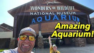 Wonders of Wildlife National Museum & Aquarium, Springfield, Missouri