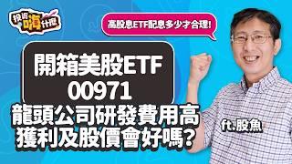 【股魚嗨什麼 EP116】美股漲到恨天高！除了SPY、VOO 、QQQ 還能買什麼？股魚開箱 #00971 研發費用高的公司，獲利及股價會好嗎？《投資嗨什麼》 ft.股魚