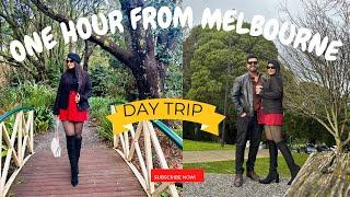 Day Trip near Melbourne || Yarra Valley & Dandenong Ranges || Places to visit near Melbourne #vlog