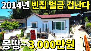 2014년식 전원주택~ 빈집 벌금 겁난다! 몽땅~3,000만원 대지와 건물 전부 드립니다! 몸만 오세요~