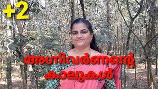 Agnivarnnante kalukal Plustwo Explanation by Sheebatr