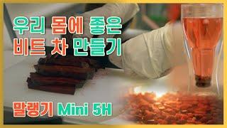 몸에 좋은 비트차 만들기 | 말랭기미니 | 식품건조기 | 비트건조