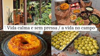Life happening in the silence of the morning/ caramelized orange cake/ our lunch and little plants