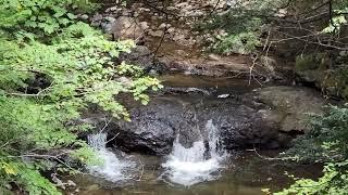 These are some small waterfalls on the Brook Trail, a half mile hike at Castle in the Clouds.