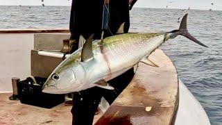 Learn from my inexperience and catch more TUNA! [Part 2 of 2] Highliner Sportfishing