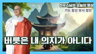 버릇은 내 의지가 아니다 - 진우스님의 오늘의 명상 #명상 #조계종 #참선 #총무원장 #명언