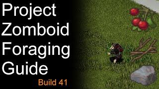 Project Zomboid Foraging Guide Build 41 (OLD)