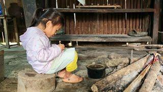 Poor girl in the highlands living alone cooks porridge to eat every day | Triệu Thị Ghển