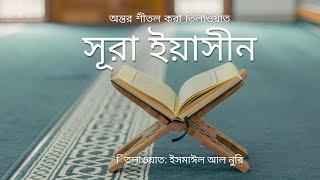 সূরা ইয়াসীন| Reciterd By Ismail Al Nori Learn With My Dream Travel.