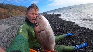 Spearfishing Snapper (Pargo) in Madeira Portugal