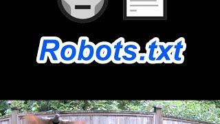 Robots.txt Explained In Under a Minute - Cybersecurity Basics #birds #cute #webdevelopment