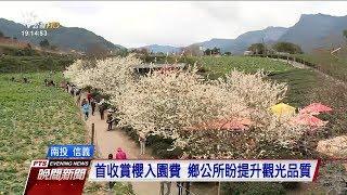 鄉公所籌錢　信義鄉賞櫻今年首收入園費 20180127 公視晚間新聞