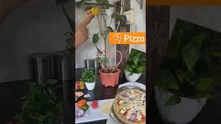 how to make pizza at home. घर पर कैसे बनाये perfect पिज़्ज़ा #short#ytshorts#pizzalover