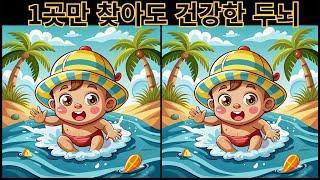 1곳만 찾아도 건강한 두뇌 (33) 다른그림찾기 치매예방 퍼즐 퀴즈 틀린그림찾기