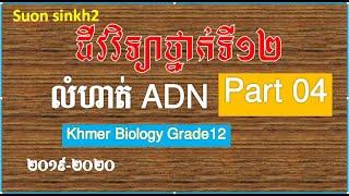 លំហាត់ ADN 26 khmer biology grade12