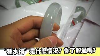 翡翠“种水镯”是什么情况？千数和万数的，几乎看不出差别？