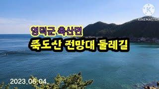 가슴이 펼쳐지는 죽도산 전망대 둘레길