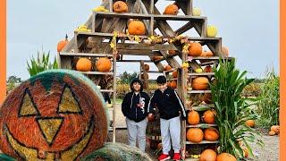 SWEET EAST ADVENTURE FARM PETTING ZOO.  Pumpkin patch