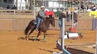 Ashir Kol & Show me the boogie - extreme cowboy 15/09/2018 - Open IEF 1st place, EXCA Pro 1st place