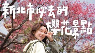 耗時兩個月都在追櫻花，如果要在北部賞櫻花，這幾個地方必去！｜壹加壹