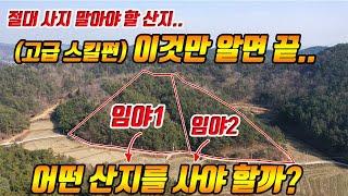 (고급스킬) 부동산 고수들만 아는 임야 산지 매매 시 알아야 할 핵심 꿀팁-부동산재테크 전원주택 펜션 토지 전문 프로공인중개사/건축기사