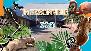 4K Tour of Jacksonville Zoo and Gardens 2023| Jacksonville, Florida