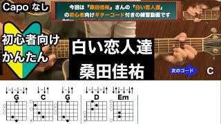 白い恋人達/桑田佳祐/ギター/コード/弾き語り/初心者向け/簡単