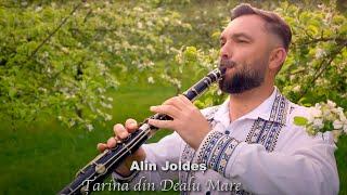 Alin Joldeș - Tarina din Dealu Mare
