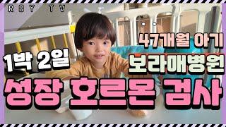 47개월 아들 성장호르몬 자극검사 1박2일 유발검사