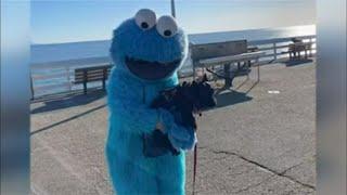 Police: If you see a person dressed up as the Cookie Monster, ignore him