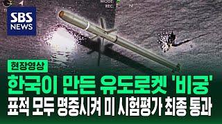 국내 방위산업체 LIG 넥스원의 2.75인치 유도로켓 '비궁', 미 국방부 해외비교시험(FCT) 최종 시험 발사에서 6발 모두 표적을 명중시켜 평가 통과해 (현장영상) / SBS