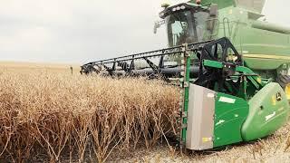 Farrington's Mellow Yellow Rapeseed Harvest 2021