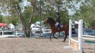 2011-2012 IEL Show Season - Show #4 Becky Neufeld Freshman Equitation Over Fences