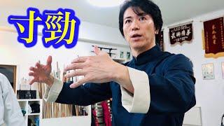 Attack and defense are completely integrated in Tai-chi【Tamotsu Miyahira】