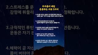 부자들이 매일 운동하는 이유 5가지#명언카드 #공감글귀 #생활지혜 #자기관리#짧은명언#마음치유#동기부여