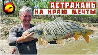 Астрахань! НА КРАЮ МЕЧТЫ / Рыбалка, Трофеи, Сазаны, Кухня