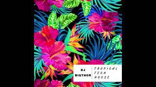 MIX TROPICAL TECH HOUSE 2022| DJ BIGTHOR