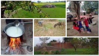 an Amazing day in jhang || nisha's vlogs #village #villagelife