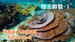 Raja Ampat Diving Liveaboard 4K 四王群島潛水 Episode-3