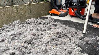 MESS TEST - 8x VACUUM CLEANERS, ONE RUG, HUGE MESS WITH DIRT & FLUFF!!!