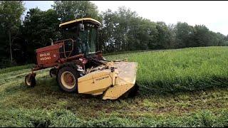 Mowing Alfalfa