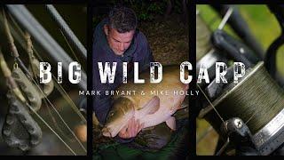 BIG WILD CARP - LOST IN THE WOODS - Mark Bryant & Mike Holly